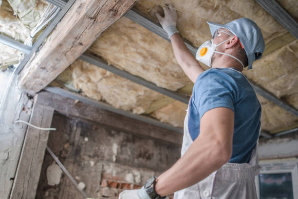 Best Insulation Materials and Products in Inniswold, LA