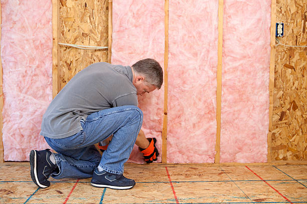 Best Insulation Maintenance and Repair in Inniswold, LA